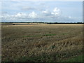 Stubble field near Laurels Farm