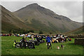 NY1808 : Wasdale Show 2015 by Peter Trimming