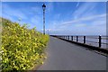 SD3427 : The Lancashire Coastal Path on the promenade by Steve Daniels