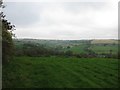 Steepsided downland grazing