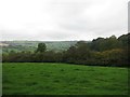 Downland above St Catherine