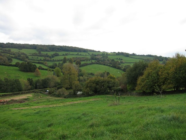 Farmland in Ramscombe Bottom