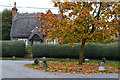 Thatched cottage and autumn leaves by the church at Wilcot