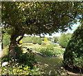 View of Wharfemeadows Park, Otley