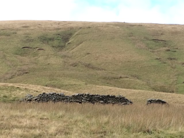 Remains of sheepfold in Bowderdale