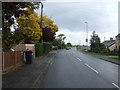 Ness Road (B1102), Burwell