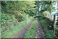 Track from Balloch loch