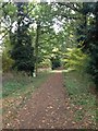 Entrance to Chicksands Wood