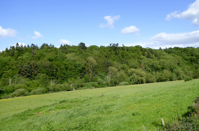 Pasture and woodland south-west of Quatt, Shropshire