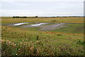 SD3419 : Fairclough's Pool on Rimmer's Marsh, Marshside by Mike Pennington