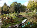 Allotments - Dockroyd Lane