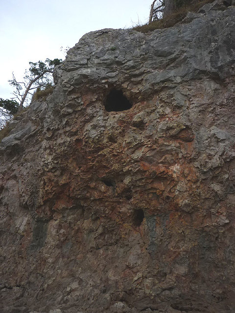 Overhanging pocketed limestone at The Cove, Silverdale