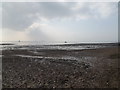 TM0212 : West Mersea Beach at low tide by Geographer