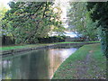 The New River west of The Paulin Ground