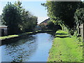 The New River west of Elsiedene Road, N21 (2)