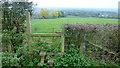 Footpath north of Mynydd Merddin