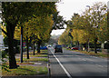 On Mowbray Road in autumn