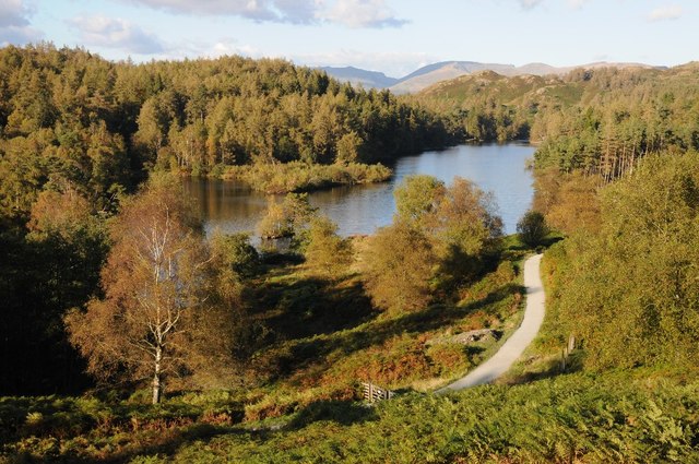 The Tarns, Tarn Hows © Philip Halling cc-by-sa/2.0 :: Geograph Britain ...