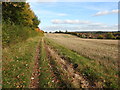 Bridleway approaching Marlborough