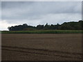 TL7969 : Fields and woodland near Lackford by JThomas