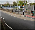 Parallel road bridge and footbridge, Penryn