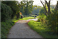 Thames path near Walton-on-Thames