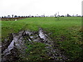 A muddy field, Moynaghan