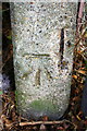 SP4504 : Benchmark on gatepost at field entrance from Cumnor Road by Roger Templeman