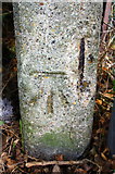SP4504 : Benchmark on gatepost at field entrance from Cumnor Road by Roger Templeman