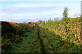 Green Lane heading for Melmerby