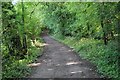 Bridleway on the edge of Lady