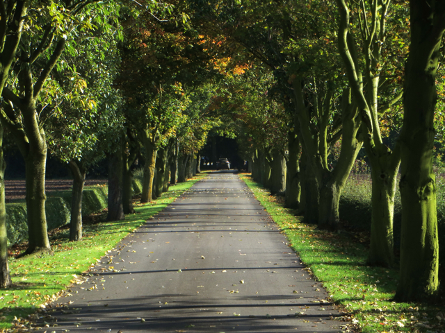 Drive to Shrubbery Farm, Sunk Island © Paul Harrop cc-by-sa/2.0 ...