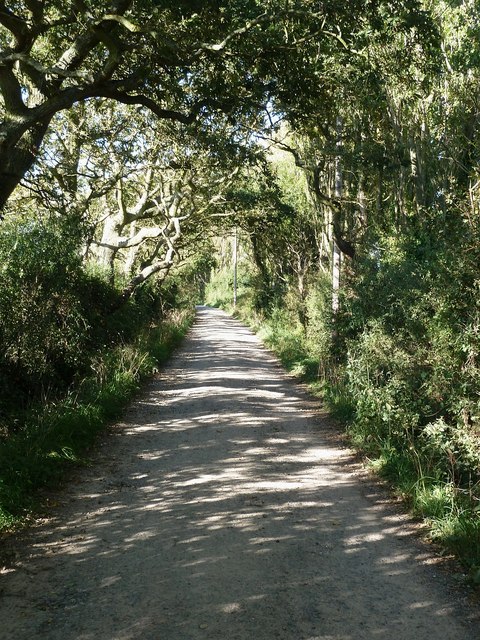 Ella Nore Lane - southern section © Rob Farrow cc-by-sa/2.0 :: Geograph ...