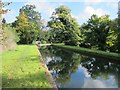 The New River northeast of the Clarendon Arch