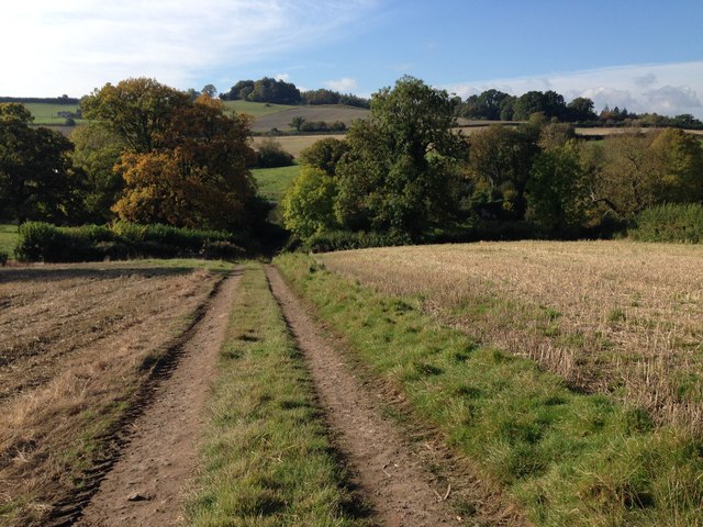 View down towards Priory Farm, Maiden Bradley, Wiltshire