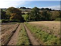 View down towards Priory Farm, Maiden Bradley, Wiltshire