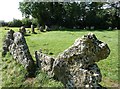 SP2930 :  Rollright Stones - The King's Men - southern side by Rob Farrow