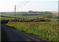 Road near Cadbury Barton