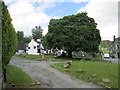 NY3204 : Elterwater village â€“ the maple tree by Peter S