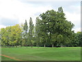 (Part of) Bush Hill Park Golf Club