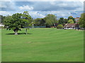 Enfield Town Park