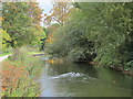 The New River (old course) - southern end of the Enfield Loop (4)