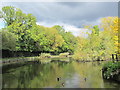 The New River (old course) at the western boundary of Enfield Park (2)