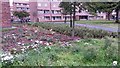 Roadside planting at Hackney