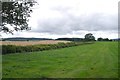 SO3490 : Fields near Lydham by Richard Webb
