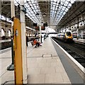 SJ8497 : Manchester Piccadilly Platform 3 by Gerald England