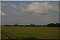 Fields south of Sutton-on-Trent, from the railway