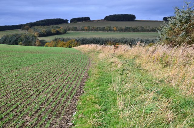 Field path near Falahill