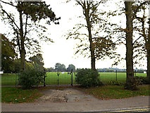 TM0024 : Recreation Ground off Wimpole Road by Geographer