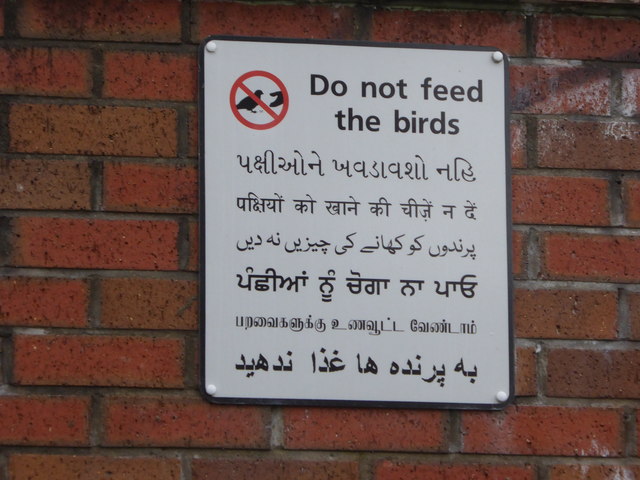 'Do not feed the birds'